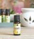 Lemon, pure essential oil, furanocoumarin-free (citrus limon)