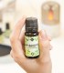 Marjoram pure essential oil