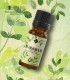 Marjoram pure essential oil