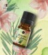 Manuka pure essential oil