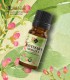 Ravensara ulei esenţial pur (ravensara aromatica) 10 ml