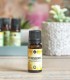 Turmeric pure essential oil