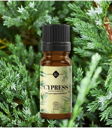 Chiparos BIO ulei esenţial (cupressus sempervirens), 10 ml