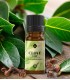 Clove leaf essential oil