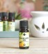 Mandarin red essential oil, pure and natural (citrus reticulata)