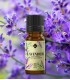 Lavandă BIO ulei esenţial (lavandula angustifolia), 10 ml