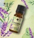 Lavandă BIO ulei esenţial (lavandula angustifolia), 10 ml