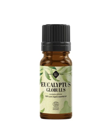 Eucalipt BIO ulei esenţial (eucaliptus globulus), 10 ml